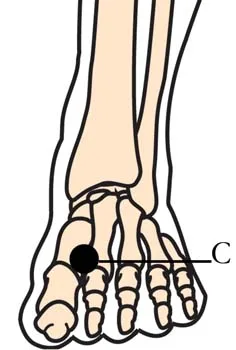 os 3 antispasmodic cell points3